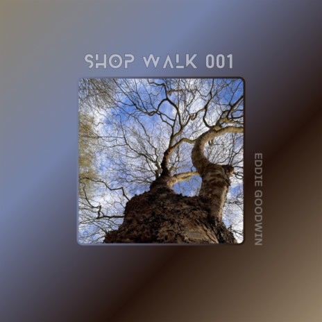 Shop Walk 001 | Boomplay Music