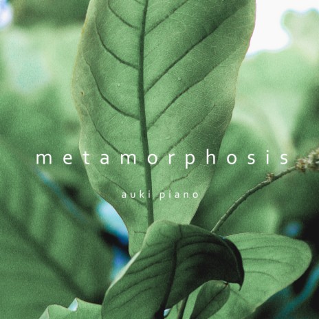 Metamorphosis | Boomplay Music