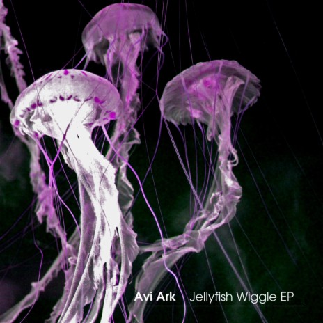 Jellyfish Wiggle