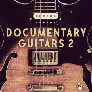 Documentary Guitars, Vol. 2