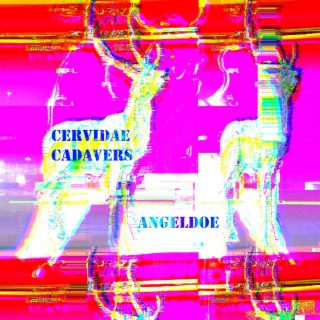 CERVIDAE CADAVERS