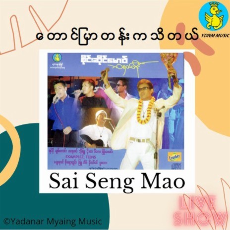 Taung Pyar Tan Ka Thi Tal or One Sided Love ft. Sai Seng Mao | Boomplay Music