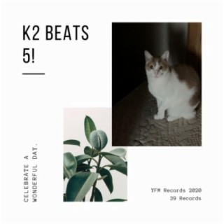 K2 Beats 5