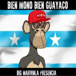 BIEN MONO BIEN GUAYACO