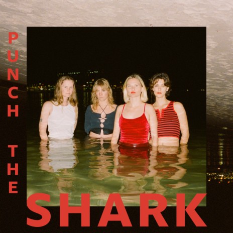 Punch The Shark | Boomplay Music