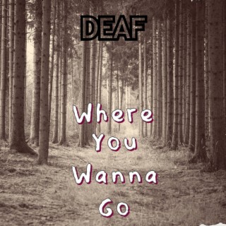 Where You Wanna Go (Radio Edit)