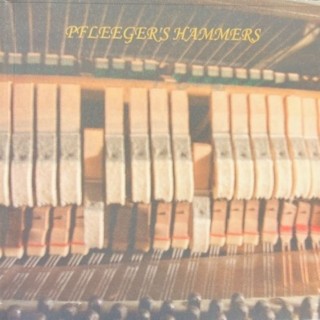 Pfleeger's Hammers