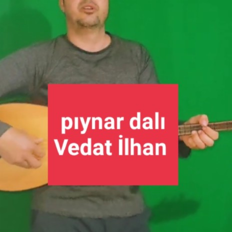 Pıynar dalı | Boomplay Music