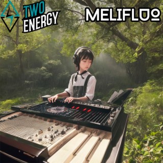 MELIFLUO (Extended Mix)