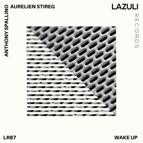 Awaking ft. Aurelien Stireg | Boomplay Music