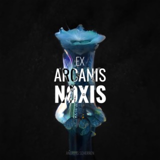 EX ARCANIS NOXIS [alpha]