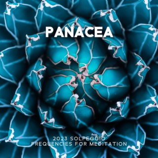 Panacea: 2023 Solfeggio Frequencies for Meditation, Meditation Frequency Healing, Inner Peace Meditation, Chakra Cleansing Music & Meditative Mind Music, Mindful Mind Body Space