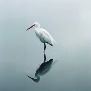 Aves Y Lluvia Binaurales: Sinfonía De Relajación De La Naturaleza - 80 88 Hz