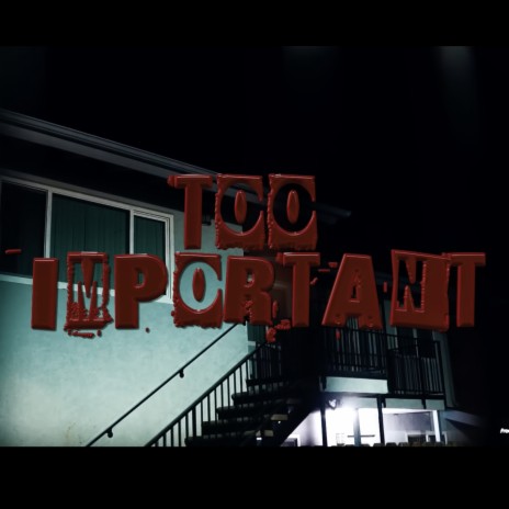 Too Important | Boomplay Music