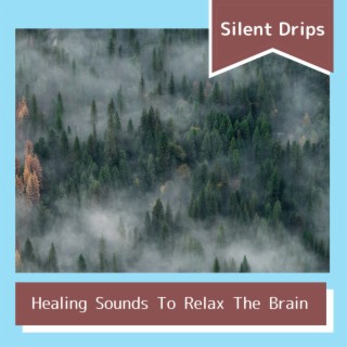 Healing Sounds To Relax The Brain