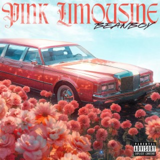 Pink Limousine lyrics | Boomplay Music