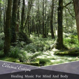 Healing Music For Mind And Body