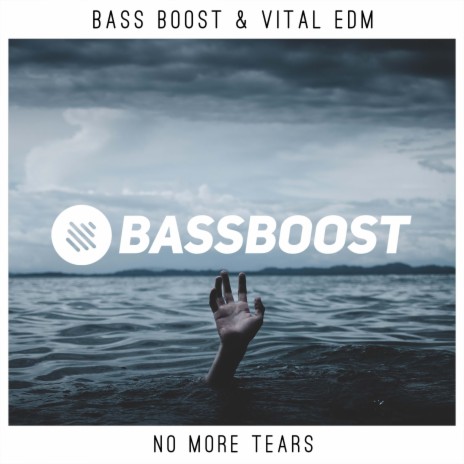 No More Tears ft. Vital EDM