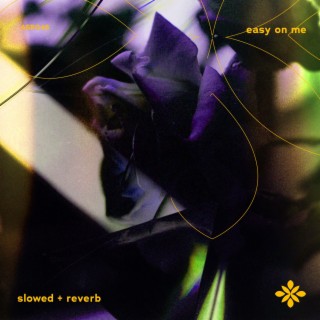 easy on me - slowed + reverb