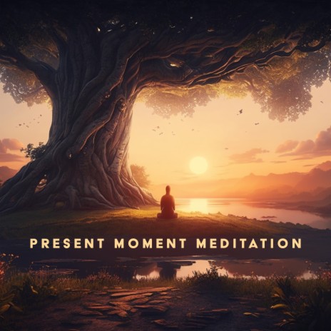 Meditative Soul ft. Meditation Music therapy | Boomplay Music