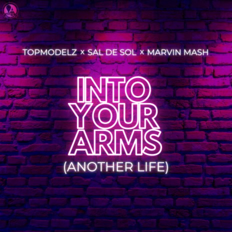 Into Your Arms (Another Life) ft. Sal De Sol & Marvin Mash | Boomplay Music