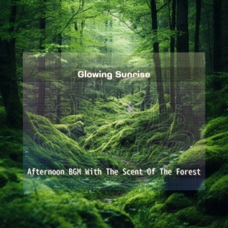 Afternoon BGM With The Scent Of The Forest
