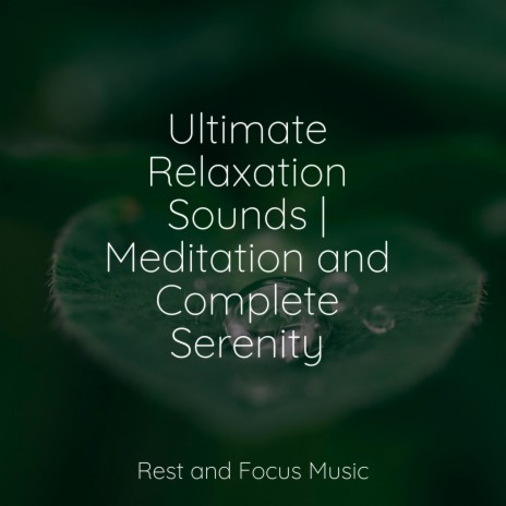 Calming Massages | Boomplay Music