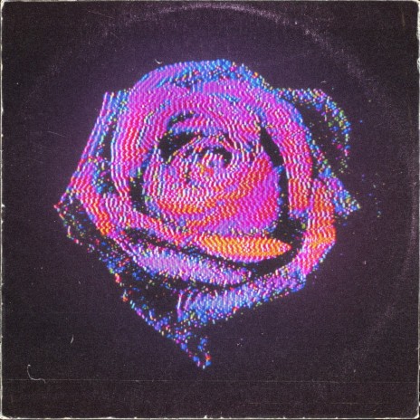 Rose | Boomplay Music