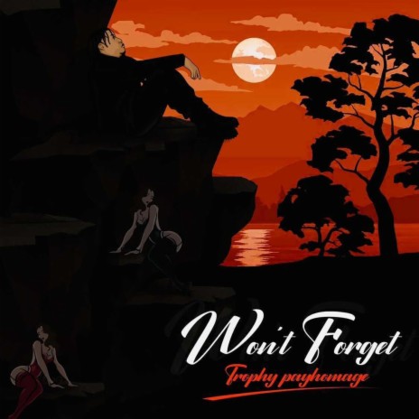 Wont Forget (Radio Edit) | Boomplay Music