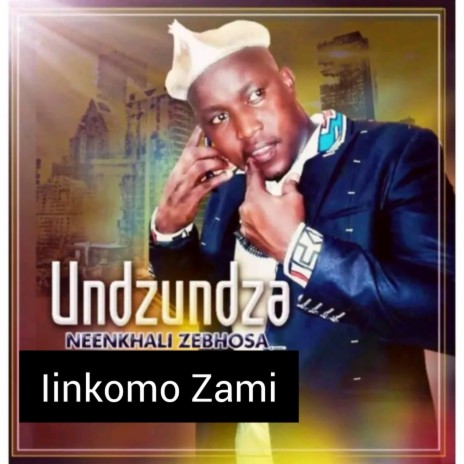 Iinkomo Zami | Boomplay Music