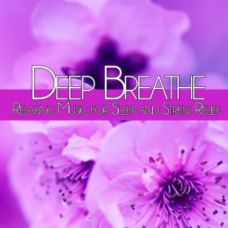 Deep Breathe: Relaxing Music for Sleep and Stress Relief