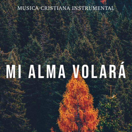 Mi Alma Volará | Boomplay Music