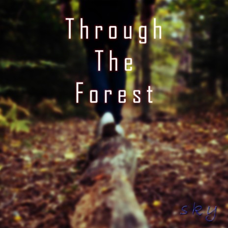 Through the Forest | Boomplay Music