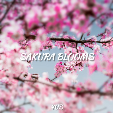 Sakura Blooms | Boomplay Music