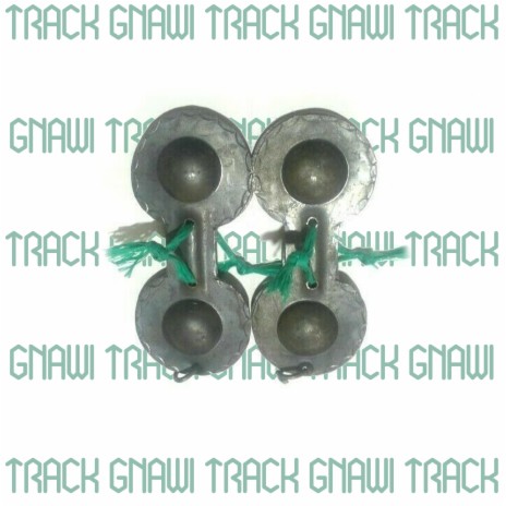 Track Gnawi