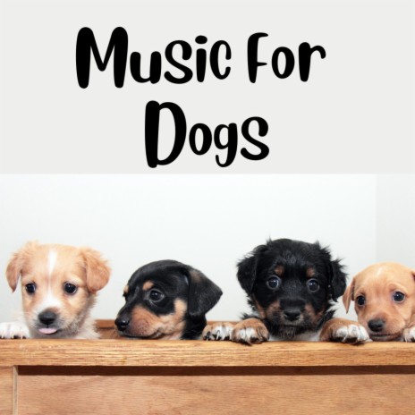 Soft Piano Music ft. Music For Dogs, Relaxing Puppy Music & Calm Pets Music Academy | Boomplay Music