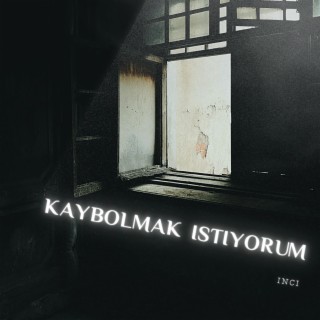 Kaybolmak İstiyorum