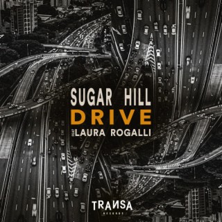 Drive (feat. Laura Rogalli)