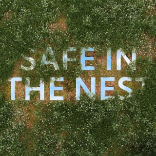 Safe In The Nest