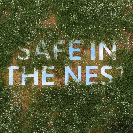 Safe In The Nest | Boomplay Music