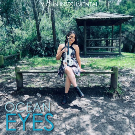 Ocean Eyes (Violin Instrumental) | Boomplay Music