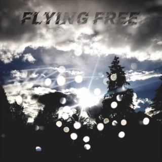 Flying Free