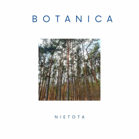 Nietota | Boomplay Music
