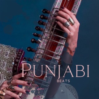 Punjabi Beats - Sitar, Flute, Tabla Instrumental Relaxing Music