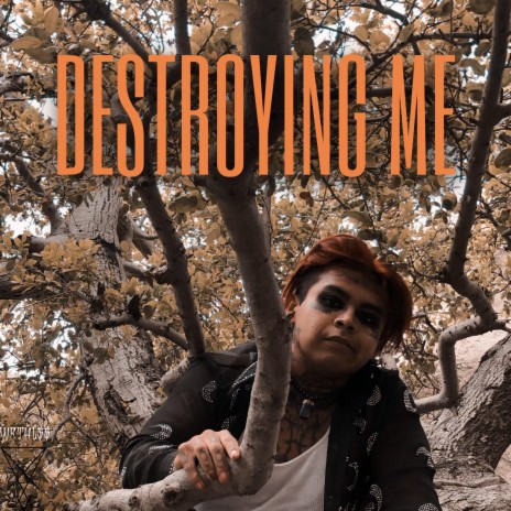 Destroying Me | Boomplay Music