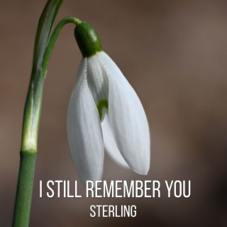 I still remember you