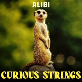Curious Strings
