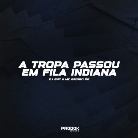 A Tropa Passou em Fila Indiana ft. mc gringo 22 | Boomplay Music