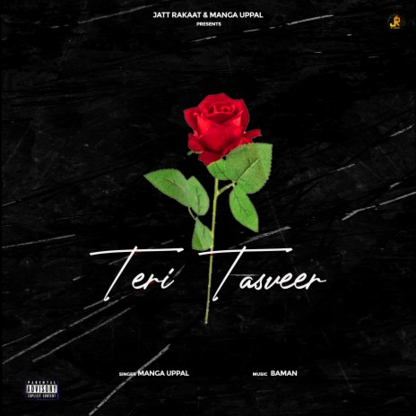 Teri Tasveer | Boomplay Music