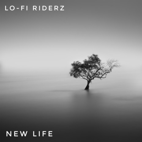 new life, Pt. 2 | Boomplay Music